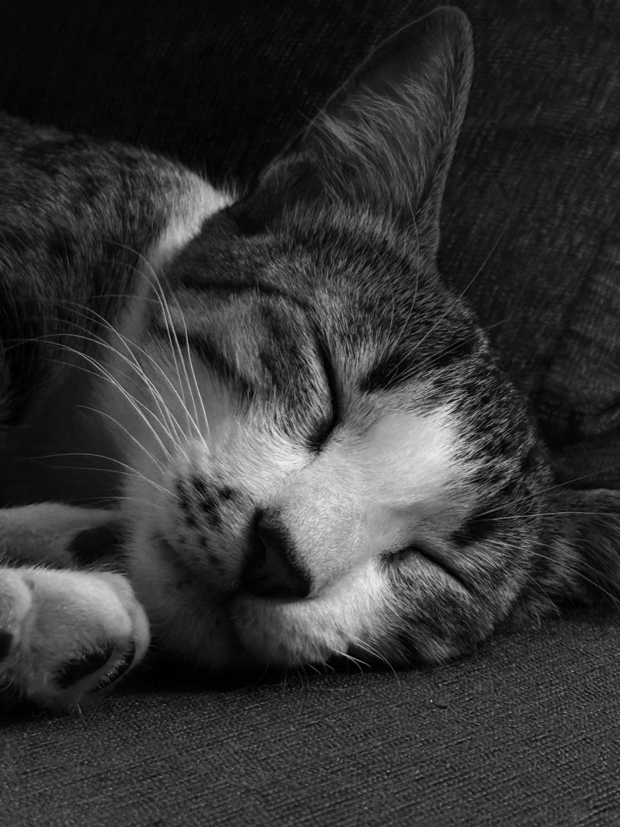 Sleepy Smile · Mono